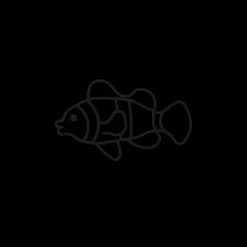 Tatouages Petit | Tatouages Petit^PAUL HEWITT Clownfish Tattoo