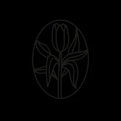 Tatouages Petit | Tatouages Petit^PAUL HEWITT Flower Tattoo