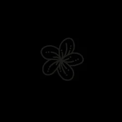 Tatouages Petit | Tatouages Petit^PAUL HEWITT Hibiscus Blossom Tattoo
