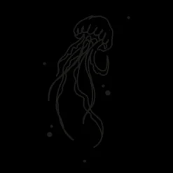 Tatouages Medium | Tatouages Medium^PAUL HEWITT Jellyfish Tattoo