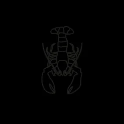 Tatouages Petit | Tatouages Petit^PAUL HEWITT Lobster Tattoo