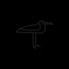 Tatouages Petit | Tatouages Petit^PAUL HEWITT Men's Seagull Tattoo