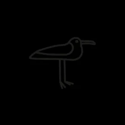 Tatouages Petit | Tatouages Petit^PAUL HEWITT Men's Seagull Tattoo