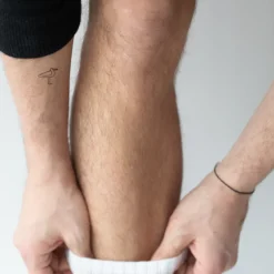 Tatouages Petit | Tatouages Petit^PAUL HEWITT Men's Seagull Tattoo