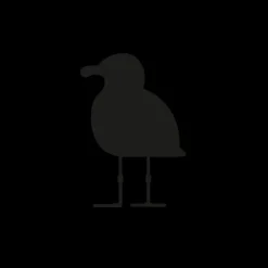 Tatouages Petit | Tatouages Petit^PAUL HEWITT Men's Seagull Tattoo