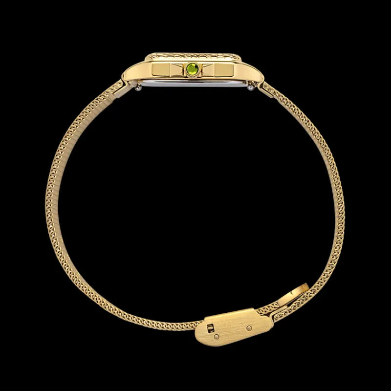 Montres À Quartz^PAUL HEWITT Petite Tortue Montre