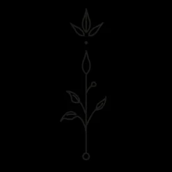 Tatouages Medium | Tatouages Medium^PAUL HEWITT Plant Ornament Tattoo