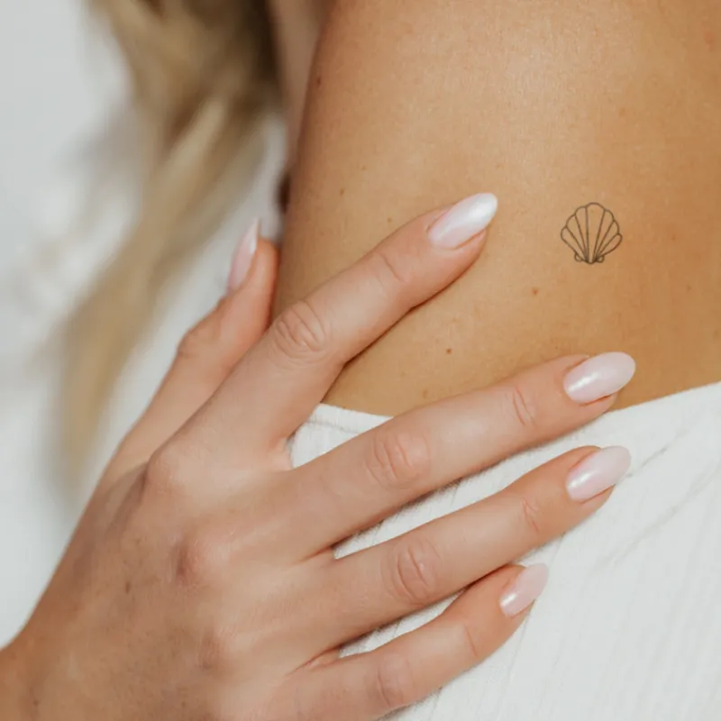 Tatouages Petit | Tatouages Petit^PAUL HEWITT Scallop Shell Tattoo