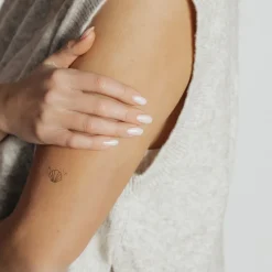 Tatouages Petit | Tatouages Petit^PAUL HEWITT Scallop Shell Tattoo
