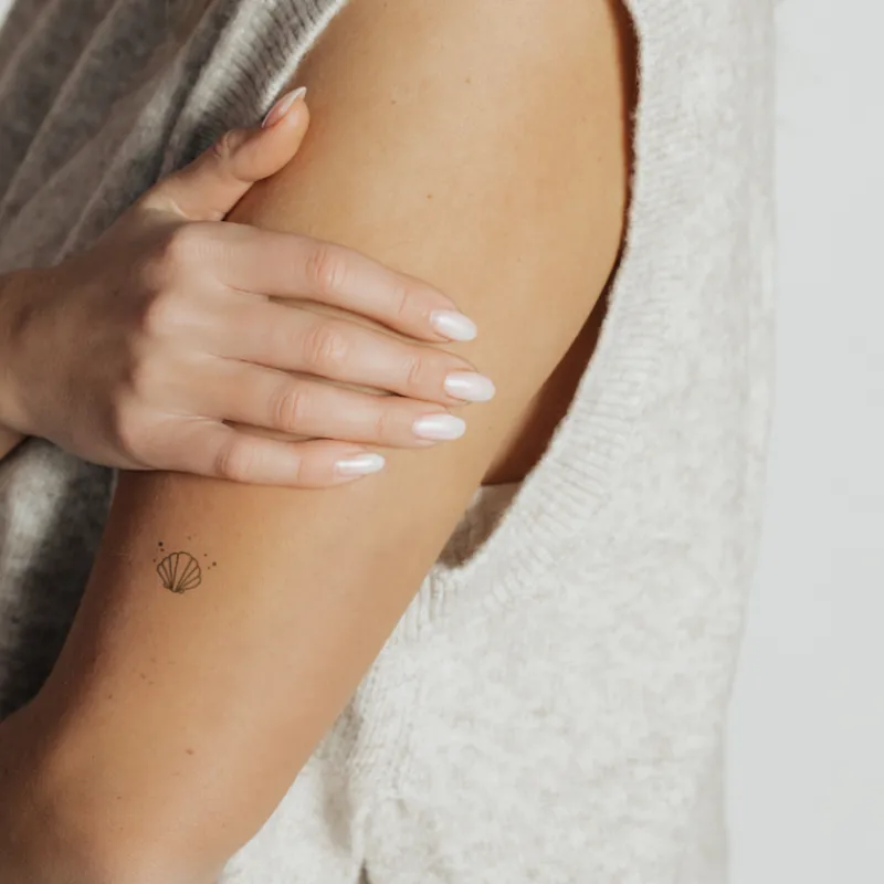 Tatouages Petit | Tatouages Petit^PAUL HEWITT Scallop Shell Tattoo