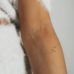 Tatouages Petit | Tatouages Petit^PAUL HEWITT Scorpio Tattoo