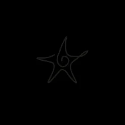 Tatouages Petit | Tatouages Petit^PAUL HEWITT Sea Star Tattoo