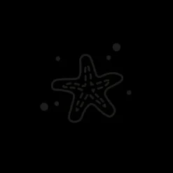 Tatouages Petit | Tatouages Petit^PAUL HEWITT Sea Star Tattoo