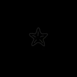 Tatouages Petit | Tatouages Petit^PAUL HEWITT Sea Star Tattoo