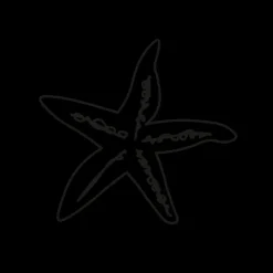 Tatouages Medium | Tatouages Medium^PAUL HEWITT Sea Star Tattoo