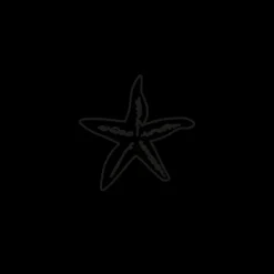 Tatouages Medium | Tatouages Medium^PAUL HEWITT Sea Star Tattoo