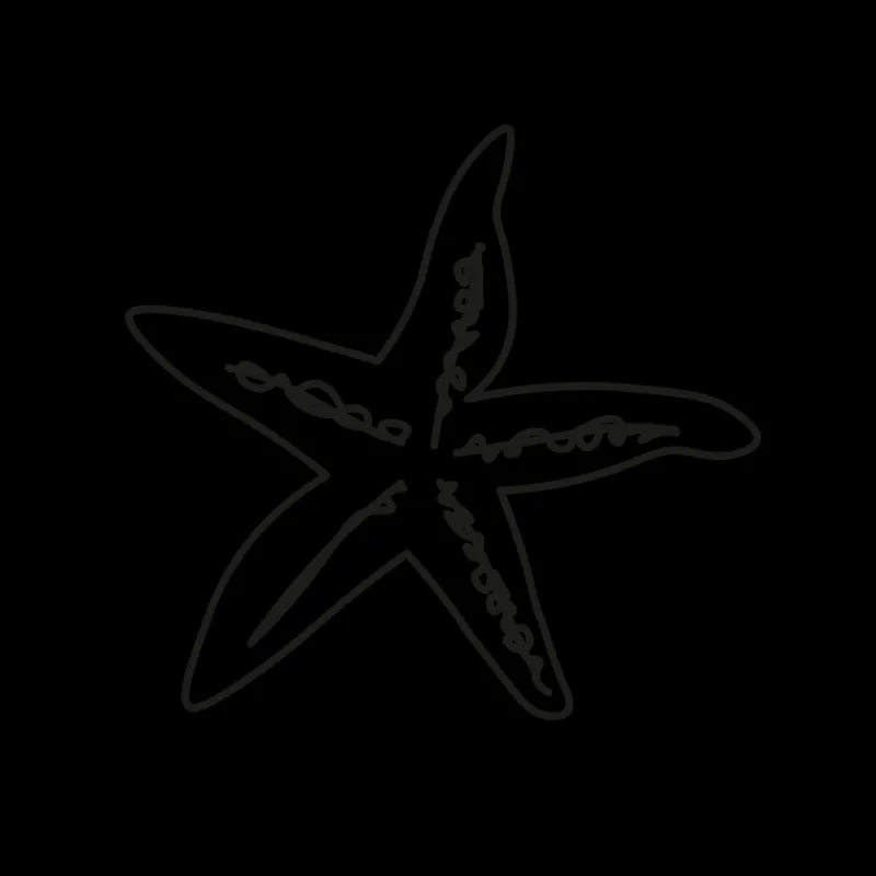 Tatouages Medium | Tatouages Medium^PAUL HEWITT Sea Star Tattoo
