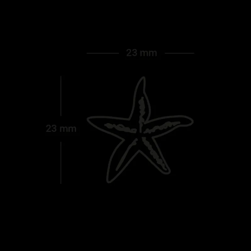 Tatouages Medium | Tatouages Medium^PAUL HEWITT Sea Star Tattoo