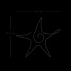 Tatouages Medium | Tatouages Medium^PAUL HEWITT Sea Star Tattoo