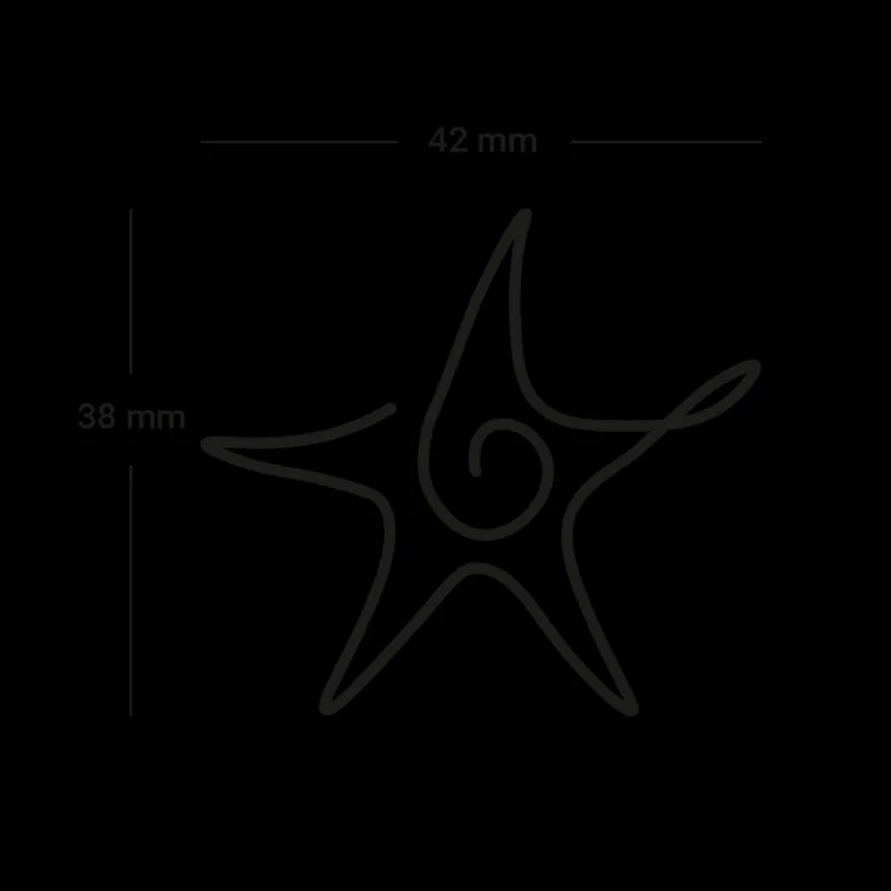 Tatouages Medium | Tatouages Medium^PAUL HEWITT Sea Star Tattoo