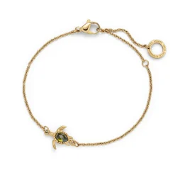 Boucles D'oreilles | Colliers^PAUL HEWITT Set Turtle V