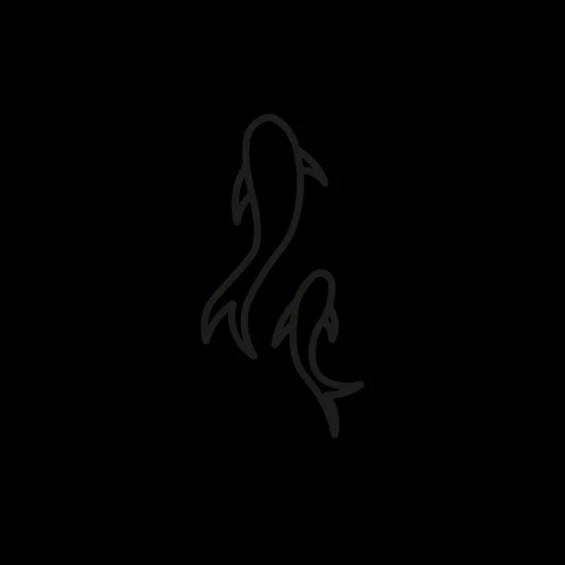 Tatouages Petit | Tatouages Petit^PAUL HEWITT Sharks Tattoo