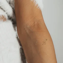 Tatouages Petit | Tatouages Petit^PAUL HEWITT Taurus Tattoo