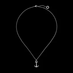 Colliers^PAUL HEWITT The Anchor Collier