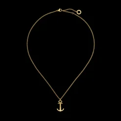 Colliers^PAUL HEWITT The Anchor Collier