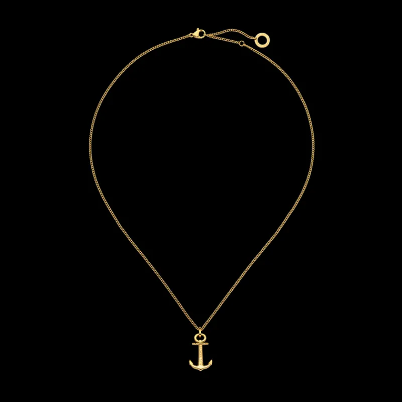 Colliers^PAUL HEWITT The Anchor Collier