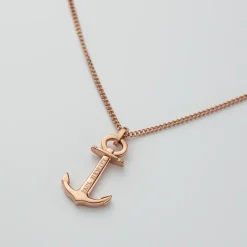 Colliers^PAUL HEWITT The Anchor Collier