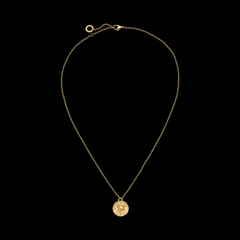 Colliers^PAUL HEWITT Turtle Coin Collier