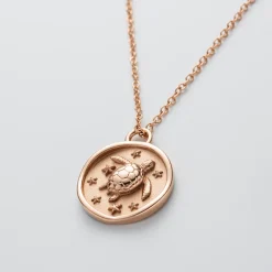 Colliers^PAUL HEWITT Turtle Coin Collier
