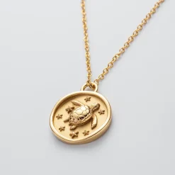 Colliers^PAUL HEWITT Turtle Coin Collier