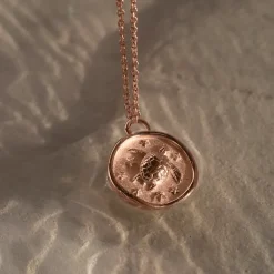 Colliers^PAUL HEWITT Turtle Coin Collier