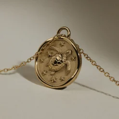 Colliers^PAUL HEWITT Turtle Coin Collier