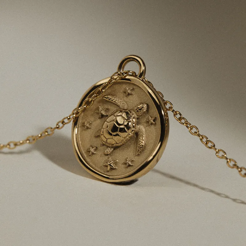 Colliers^PAUL HEWITT Turtle Coin Collier