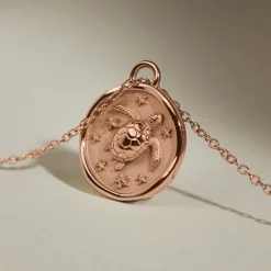 Colliers^PAUL HEWITT Turtle Coin Collier