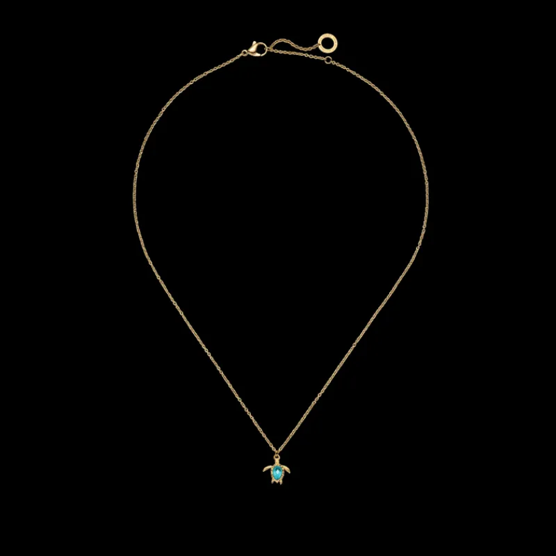 Colliers^PAUL HEWITT Turtle Mono Aquamarine Collier
