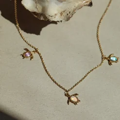 Colliers^PAUL HEWITT Turtle Rainbow Collier