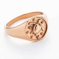 Anneaux^PAUL HEWITT Turtle Signet Bague