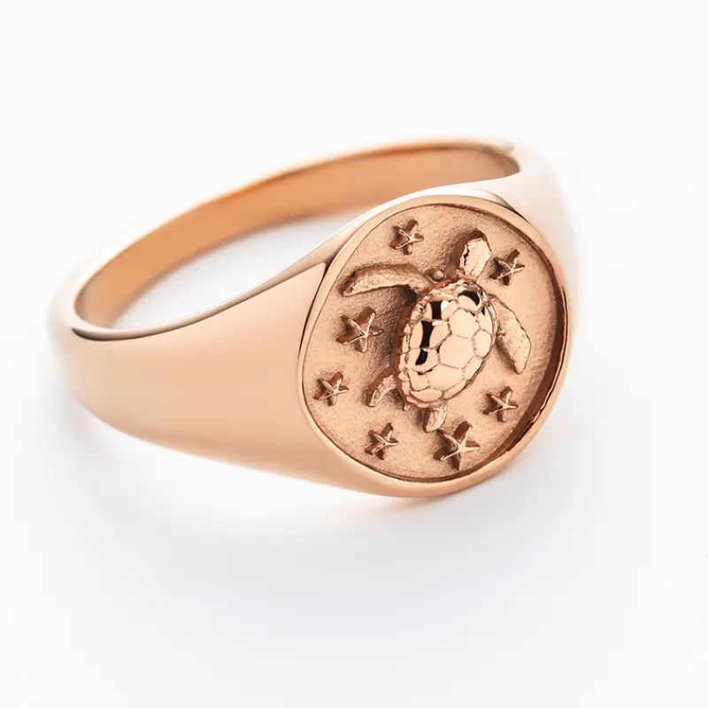 Anneaux^PAUL HEWITT Turtle Signet Bague
