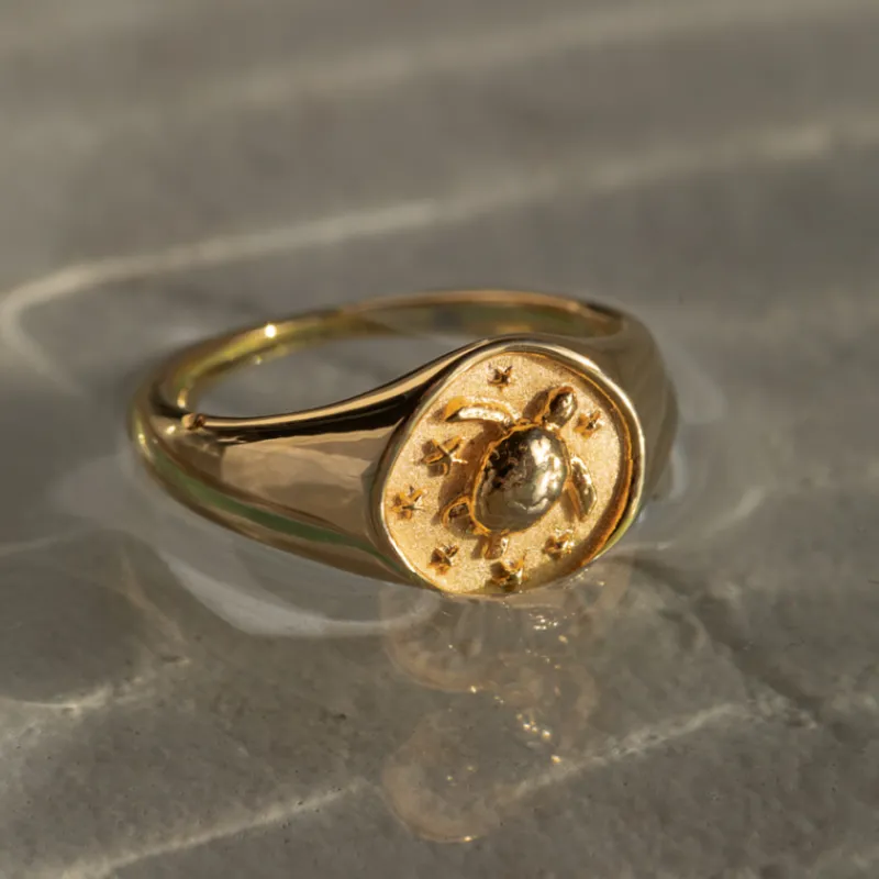 Anneaux^PAUL HEWITT Turtle Signet Bague