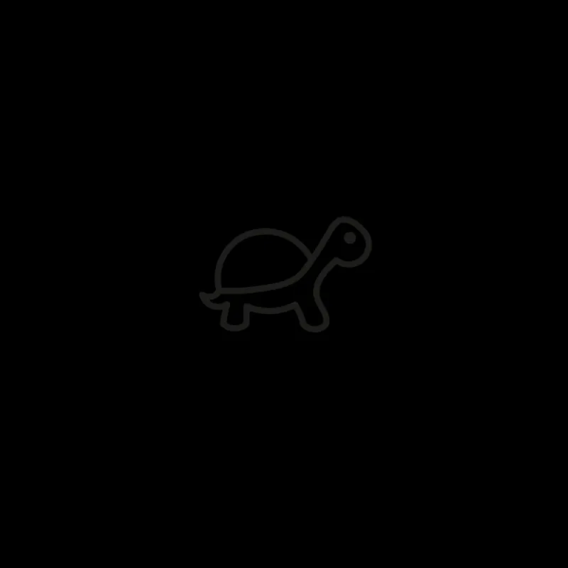 Tatouages Petit | Tatouages Petit^PAUL HEWITT Turtle Tattoo