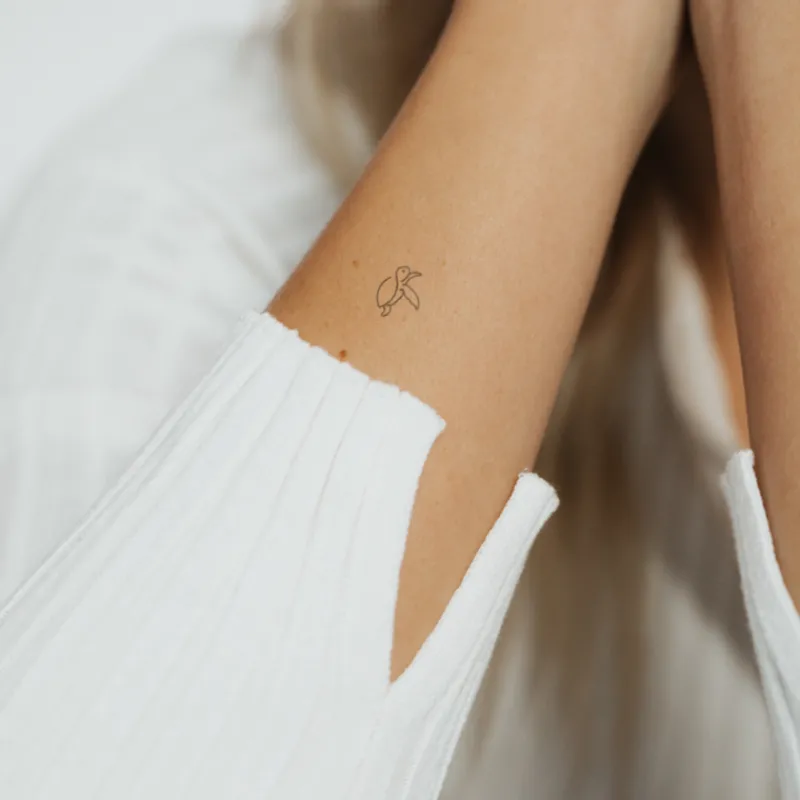 Tatouages Petit | Tatouages Petit^PAUL HEWITT Turtle Tattoo