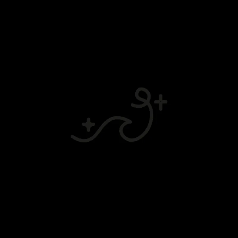 Tatouages Petit | Tatouages Petit^PAUL HEWITT Wave & Star Tattoo