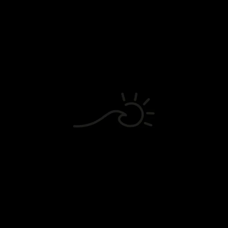 Tatouages Petit | Tatouages Petit^PAUL HEWITT Wave & Sun Tattoo